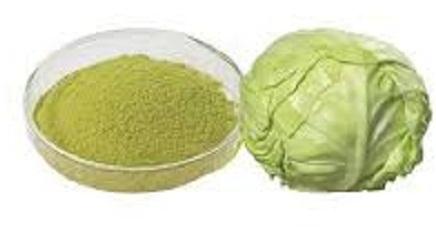 Cabbage Powder, For Food Supplements, Feature : Effectiveness, Long Shelf Life, Longer Shelf Life