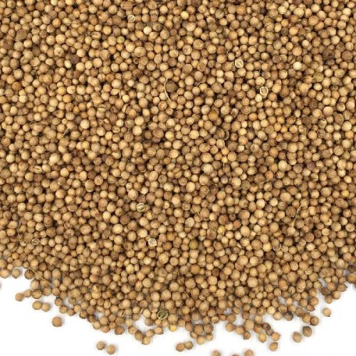 Raw Organic Coriander Seeds, For Cooking, Certification : FSSAI Certified