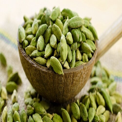 Cardamom