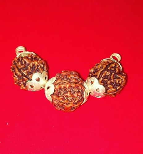 Saraswati Rudraksha Bandh, Color : Brown, Dark Brown Multisize For Religious