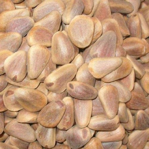 Pine nuts, Shelf Life : 6 Months