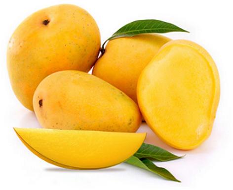 Fresh Alphonso Mango, Packaging Size : 10-20kg, 20-30kg, 30-40kg