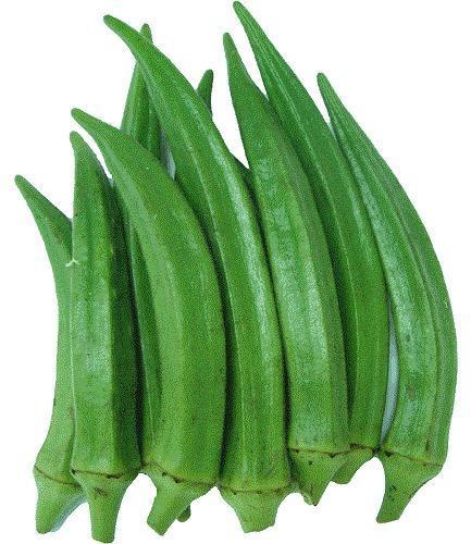 Fresh Lady Finger, For Human Consumption, Cooking, Home, Hotels, Packaging Size : 1Kg, 2Kg, 5kg