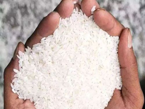 Hard Wada Kolam Rice, For Cooking, Food, Human Consumption, Certification : FDA Certified, FSSAI Certified