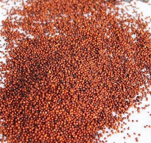 Ragi Millet, For High In Protein, Packaging Size : 50 Kg