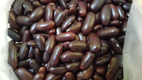 Organic Brown Rajma, For High In Protein, Packaging Type : Loose