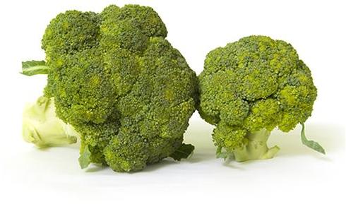 Organic Broccoli, For Cooking, Feature : Completer Freshness, Fresh Taste, Healthy To Eat, Non Harmful