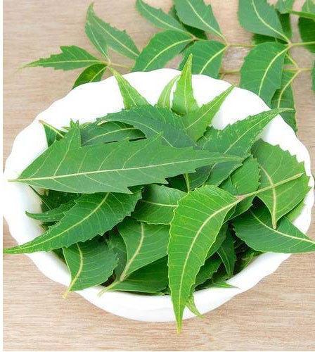 Organic Neem Leaves