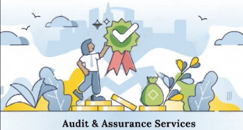 Audit & Assuarance Services In India