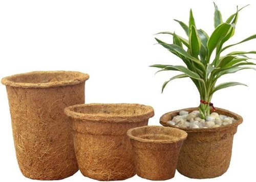 Coco Coir Pot, Size : 3 Inch