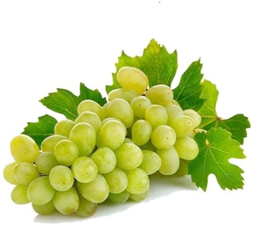 Thompson Seedless Grapes, Color : Whitish