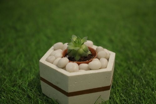 Cement Concrete Planters, Size : 4inch