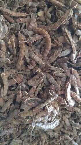 Natural Raw Tamarind, For Cooking, Spices, Food Medicine, Grade Standard : Food Grade