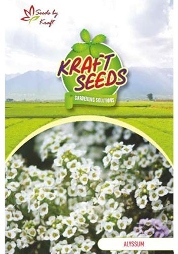 Alyssum Flower Seeds