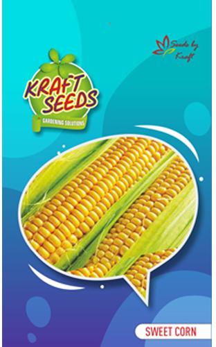 Sweet Corn Seeds