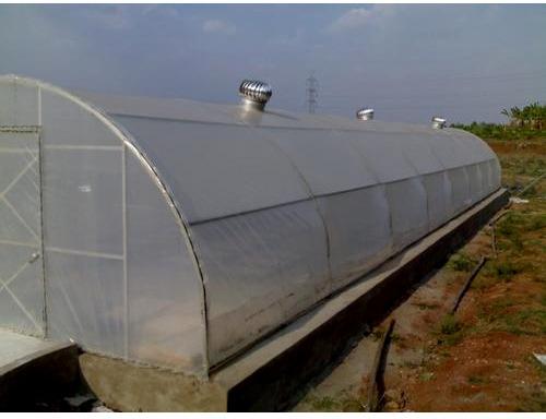 Alfa Green Solar Tunnel Dryer, Cover Material : U.V. Stabilized Plastic Sheet