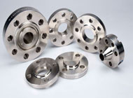 Hastelloy Flanges, Size : 1/2'NB To 12'NB