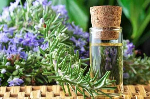 Rosemary Essential Oil, For Aromatherapy, Medicine Use, Personal Care, Purity : 99.9%, 100% Natural Pure