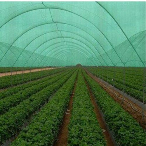 HDPE Plastic Outdoor Shade Net, Color : Green