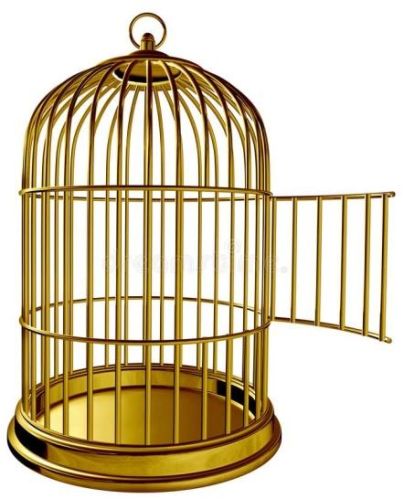 UD-18522 Iron Bird Cage, Size : 40cm