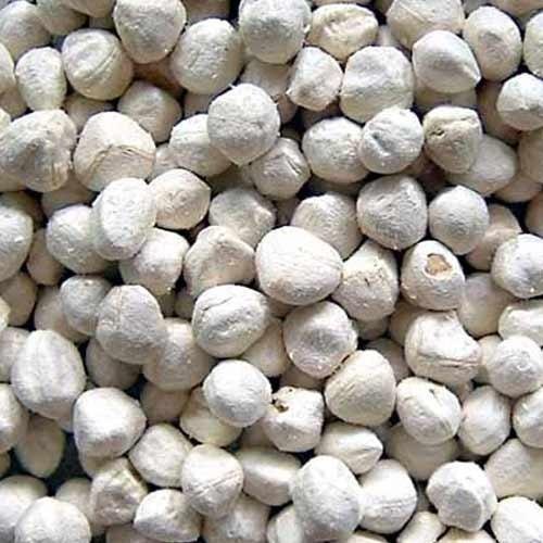 Raw Organic Moringa Kernel Seeds, Certification : FSSAI Certified