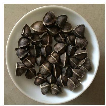 Moringa Seeds Without Wing, Packaging Size : 10 kg, Moisture : 3-5%