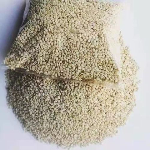 Common Sesame Seed ( Tal), For Agricultural, Making Oil, Human Consumption, Purity : 100%