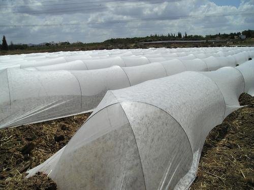 Crop Cover, Color : White