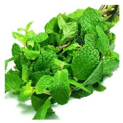 Green Heaven Peppermint Extract, Packaging Type : Polybag