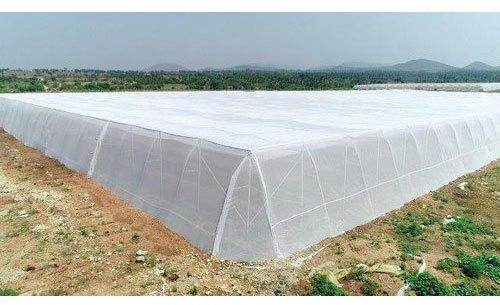 HDPE Monofilament Anti Insect Net, Color : Natural White, Milky White, Gray