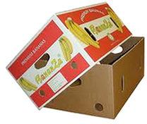 UBS Cardboard Fruits Corrugated Boxes, Pattern : Printed