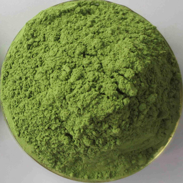 BARLEY GRASS EXTRACT POWDER