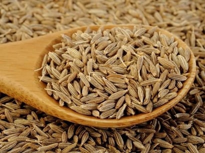 Raw Organic Cumin Seeds, For Cooking, Grade Standard : Food Grade