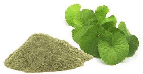 Brahmi Powder, Purity : 95-98 %