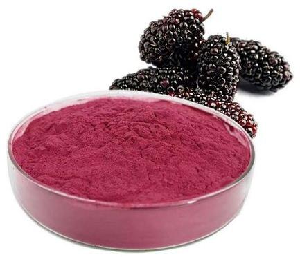 Spray Dried Mulberry Powder