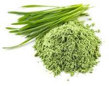 Wheatgrass Powder