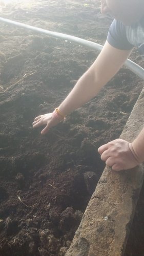 Natural Vermicompost