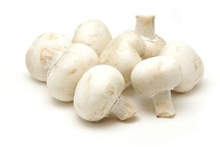 Organic Button Mushroom