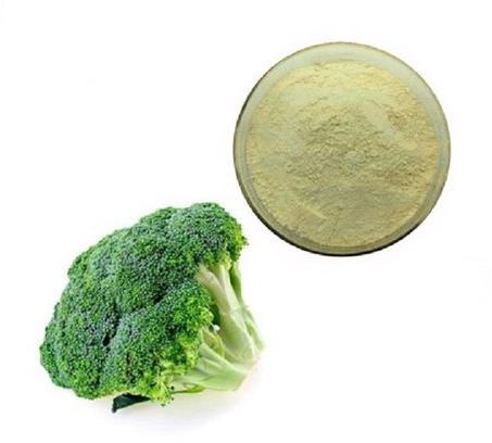 Broccoli Extract, Packaging Type : Drum