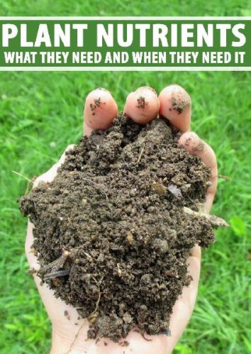 Plant Nutrient