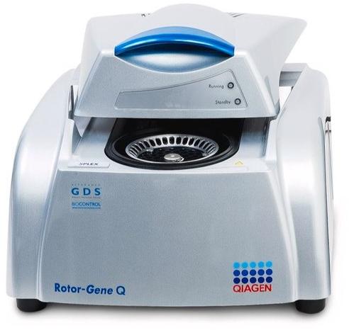 Real Time PCR System