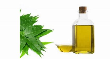 Neem Oil, Extraction Type : Cold Process, Manual