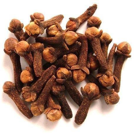 Raw Organic Clove Seeds, Packaging Type : Plastic Packet