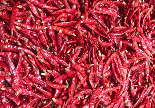 Organic Red Chili, Moisture : 10-15%, Purity : 93-98% for Cooking