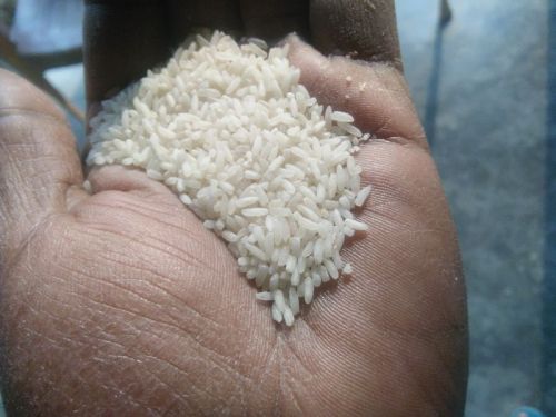 Natural Hard Ankur Rice, For Food, Form : Solid