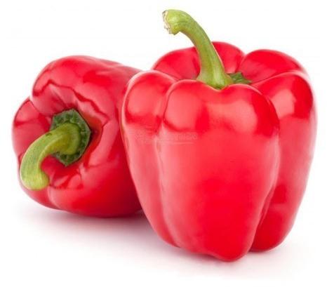 Oval Fresh Red Capsicum, For Cooking, Style : Natural