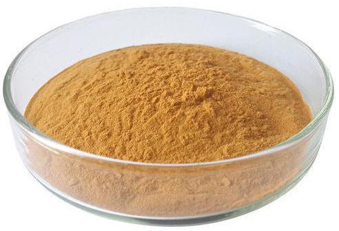 KAN Astragalus Membranaceus Extract, Packaging Type : Plastic