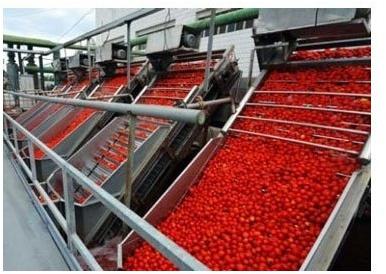 Stainless Steel Automatic Tomato Ketchup Plant, Voltage : 220 V