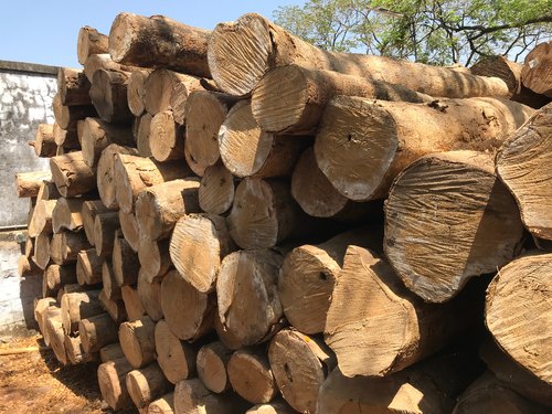 Gmelina Wood Logs, For Window Frame