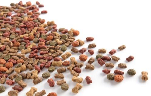 Abnutripro 20Kg Junior Dog Food, Packaging Type : Loose Packeging